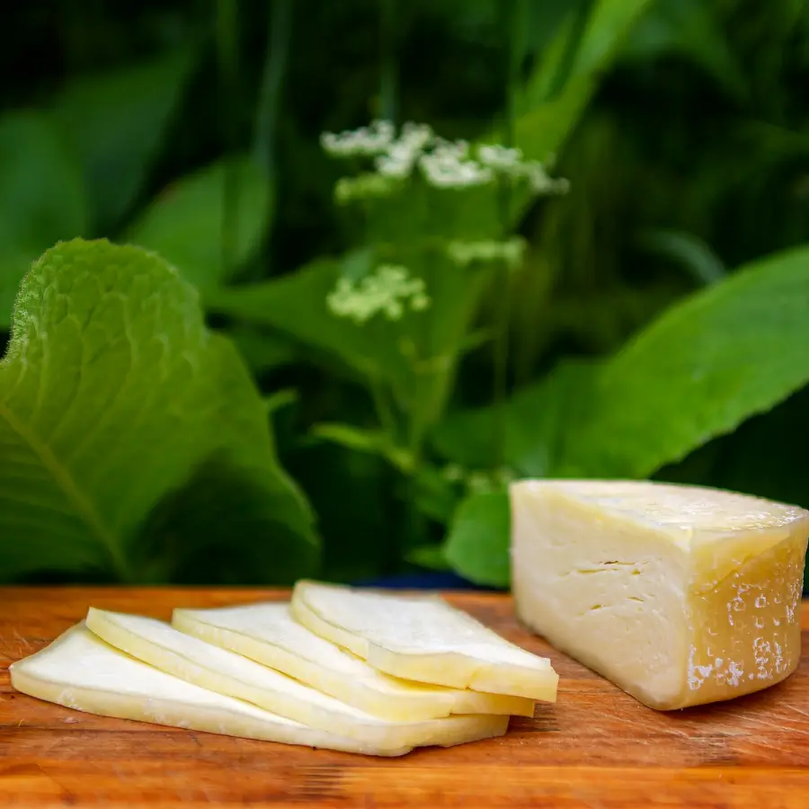 Plakken kruidenkaas op een plankje voor groene bladeren